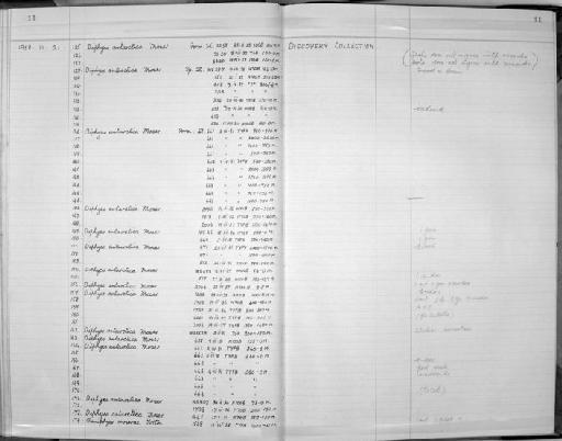 Diphyes antarctica Moser, 1925 - Zoology Accessions Register: Coelenterata: 1958 - 1964: page 11