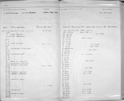 Hucho perryi Brevoort, 1856 - Zoology Accessions Register: Fishes: 1986 - 1994: page 120