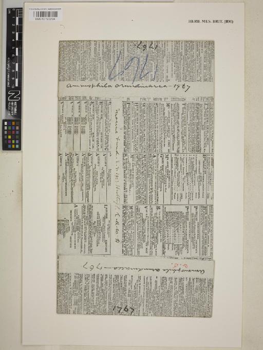 Ammophila arenaria (L.) Link - BM013722204_packet