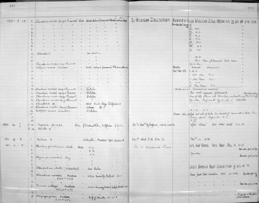 Caligorgia fraseri Hickson, 1915 - Zoology Accessions Register: Coelenterata: 1958 - 1964: page 110