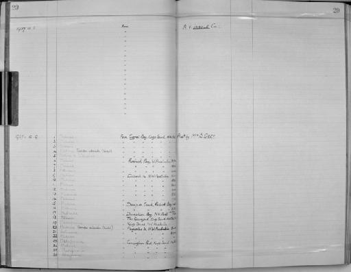 Genus indet. sp. indet. - Zoology Accessions Register: Coelenterata: 1934 - 1951: page 29