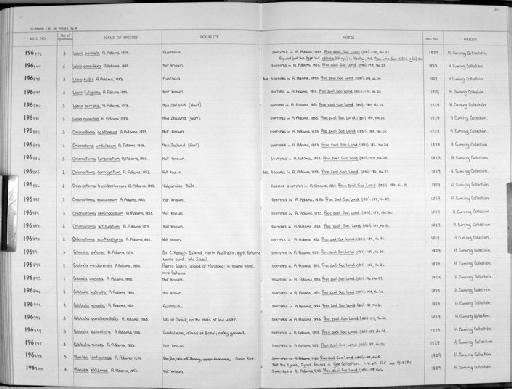 Chlorostoma articulatum A. Adams, 1853 - Zoology Accessions Register: Mollusca: 1962 - 1969: page 211