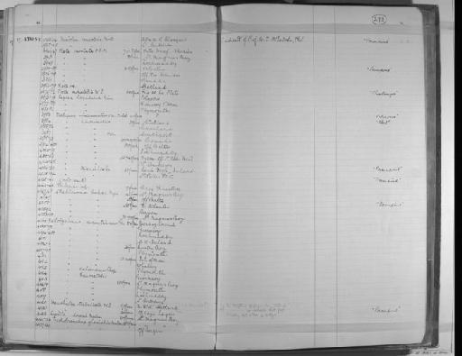 Leprea lapidaria Linnaeus - Zoology Accessions Register: Annelida & Echinoderms: 1884 - 1923: page 273