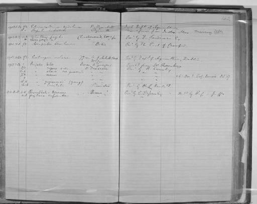 Serpula imbricata - Zoology Accessions Register: Annelida & Echinoderms: 1884 - 1923: page 142