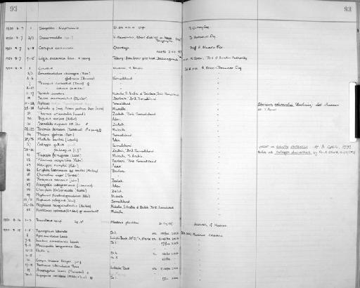 Saron marmoratus (Olivier, 1811) - Zoology Accessions Register: Crustacea: 1935 - 1962: page 93