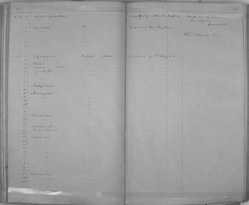 Mormyrus sp - Zoology Accessions Register: Reptiles & Fishes: 1864 - 1877: page 156