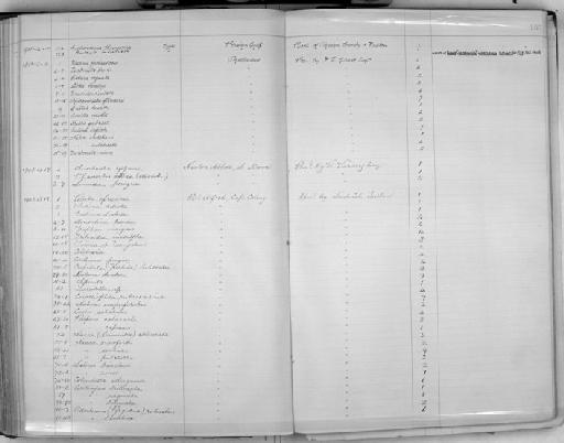 Fossarus funiculatus - Zoology Accessions Register: Mollusca: 1900 - 1905: page 153