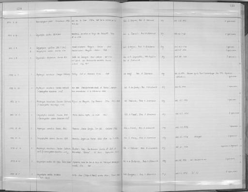 Desmophyllum gasti Döderlein, 1913 - Zoology Accessions Register: Coelenterata: 1964 - 1977: page 130