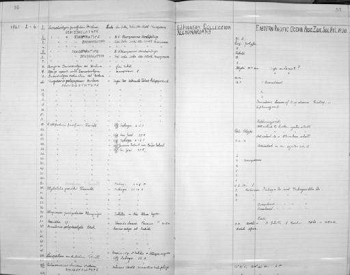 Echinomuricea bicornis Hickson, 1930 - Zoology Accessions Register: Coelenterata: 1958 - 1964: page 95