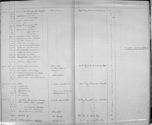 Vitrea glabra Studer - Zoology Accessions Register: Mollusca: 1894 - 1899: page 41