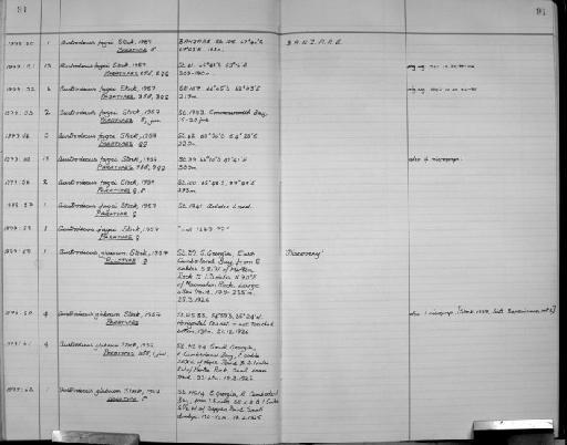 Austrodecus glabrum Stock, 1957 - Zoology Accessions Register: Crustacea: 1976 - 1984: page 91