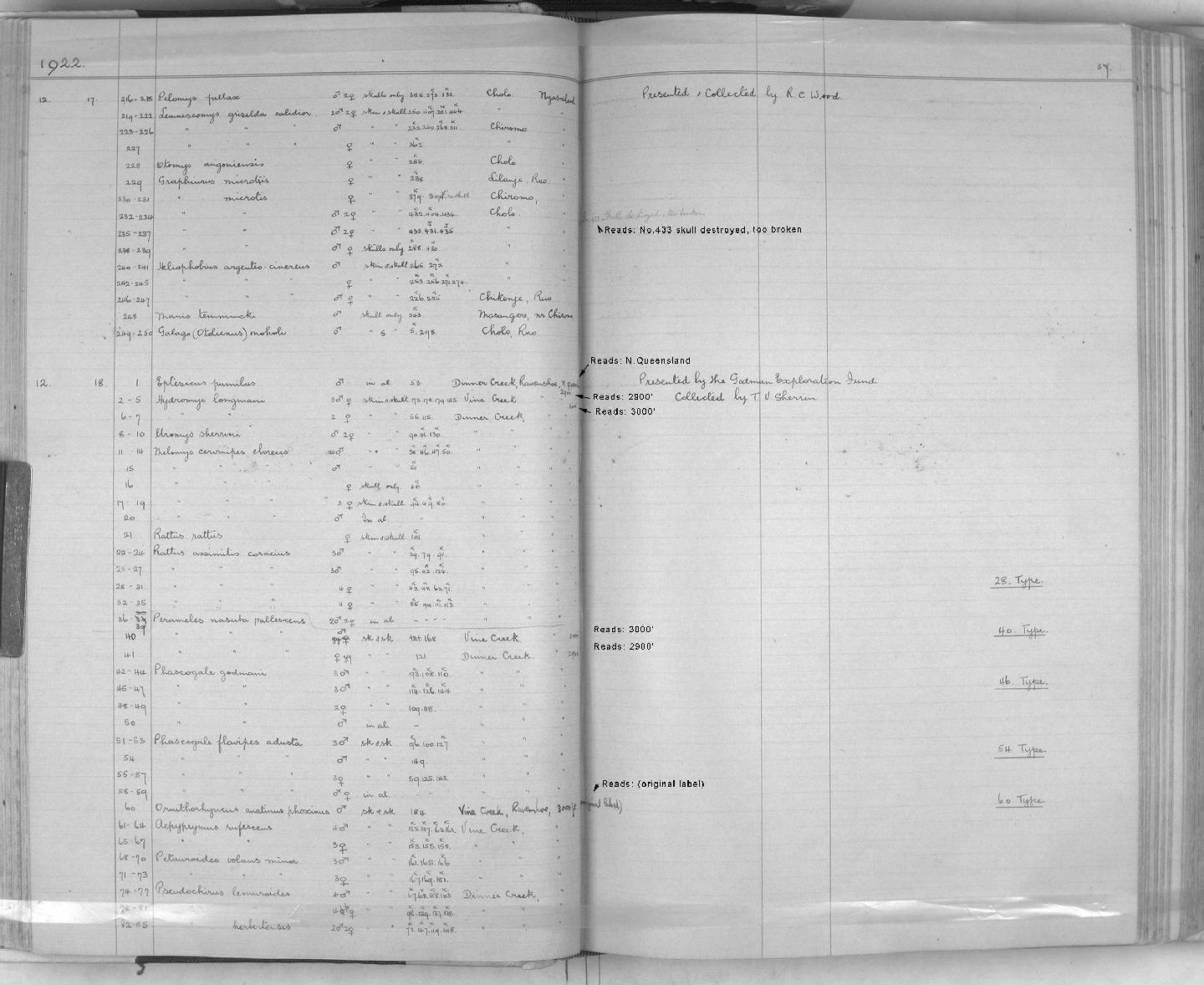 Zoology Accessions Register: Mammals: 1921 - 1929: page 57