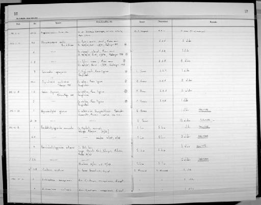 Meganteron cranum Monte 1934 - Zoology Accessions Register: Platyhelminth: 1993: page 12