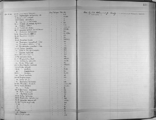 Lumbrinereis heteropoda Marenzeller - Zoology Accessions Register: Annelida & Echinoderms: 1924 - 1936: page 172