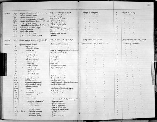 Cypraea reticulata Martyn, 1784 - Zoology Accessions Register: Mollusca: 1938 - 1955: page 269