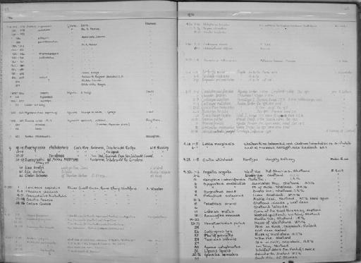 Anchoviella lepidentostole Fowler, 1911 - Zoology Accessions Register: Fishes: 1971 - 1985: page 120