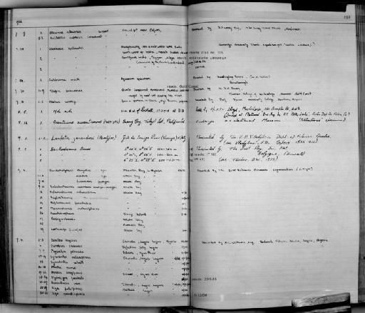 Labidochromis caeruleus Fryer, 1956 - Zoology Accessions Register: Fishes: 1937 - 1960: page 181