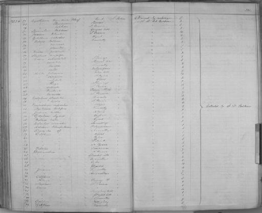 Diplommatina (Nicida) subovata Beddome, 1875 - Zoology Accessions Register: Mollusca: 1869 - 1877: page 131