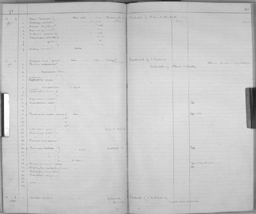 Budorcas taxicolor Hodgson, 1850 - Zoology Accessions Register: Mammals: 1891 - 1898: page 147