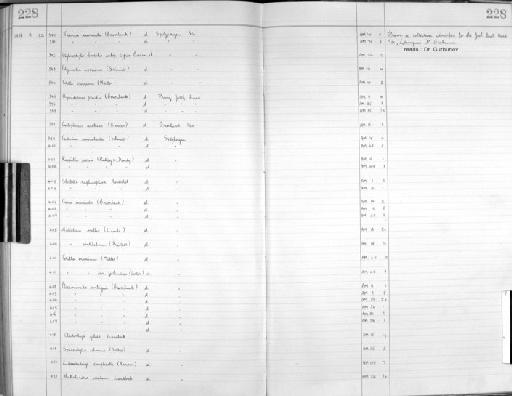 Stylocordyla borealis typica Burton, 1931 - Zoology Accessions Register: Spongiida: 1929 - 1938: page 228