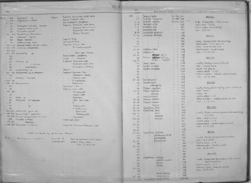 Farlowella curtirostra Myers, 1942 - Zoology Accessions Register: Fishes: 1971 - 1985: page 96