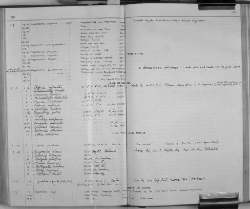 Petrotyx sanguineus Meek & Hildebrand, 1928 - Zoology Accessions Register: Fishes: 1937 - 1960: page 180