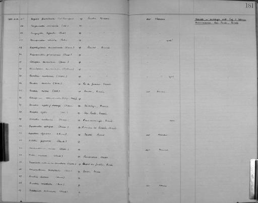 Buskia nitens Alder, 1857 - Zoology Accessions Register: Bryozoa: 1922 - 1949: page 181