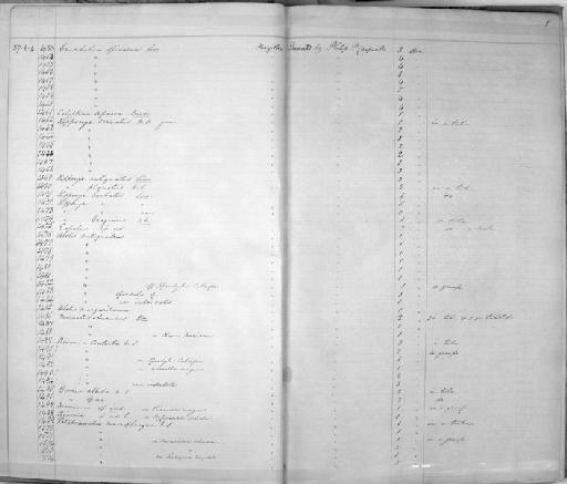 Siphonium (Aletes) centiquadrus var. imbricatus Carpenter, 1857 - Zoology Accessions Register: Mollusca: 1857 - 1860: page 1