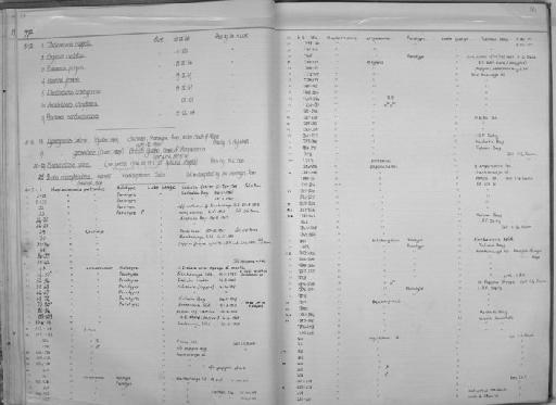 Thalassoma ruppelli - Zoology Accessions Register: Fishes: 1971 - 1985: page 30