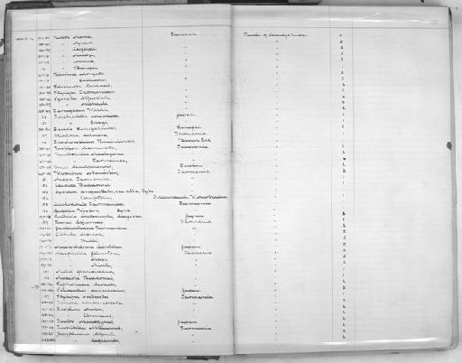 Cypraea comptonii - Zoology Accessions Register: Mollusca: 1900 - 1905: page 35