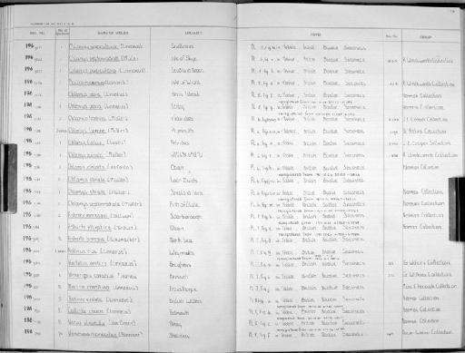 Pecten maximus (Linnaeus, 1758) - Zoology Accessions Register: Mollusca: 1962 - 1969: page 178