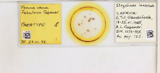 Diaphorina fabulosa Capener, 1968 - 010717268_117186_1145998_157873