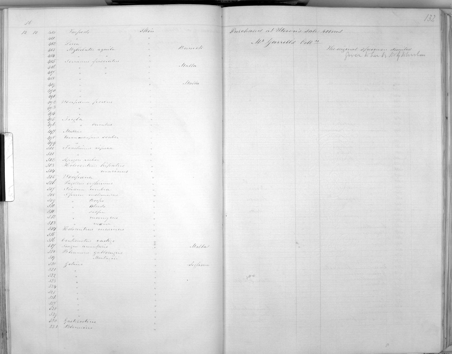 Zoology Accessions Register: Mammals: 1854 - 1861: page 132