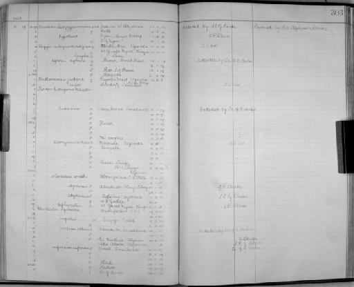 Turdus olivaceus smithi Bonaparte, 1850 - Zoology Accessions Register: Aves (Skins): 1921 - 1923: page 303