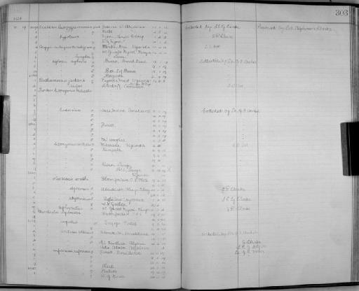 Monticola explorator (Vieillot, 1818) - Zoology Accessions Register: Aves (Skins): 1921 - 1923: page 303