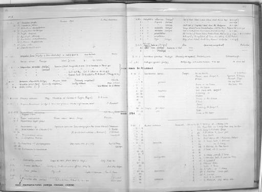 Balistes aureolus Richardson, 1845 - Zoology Accessions Register: Fishes: 1971 - 1985: page 197