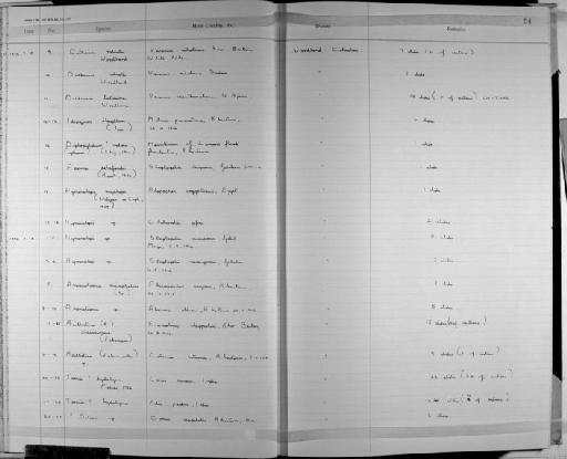 Anomotaenia microphallus Krabbe 1869 - Zoology Accessions Register: Platyhelminth: 1971 - 1981: page 24