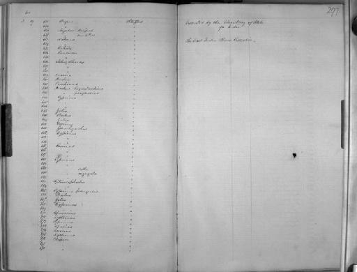 Capoeta micracanthus Günther, 1868 - Zoology Accessions Register: Mammals: 1854 - 1861: page 297