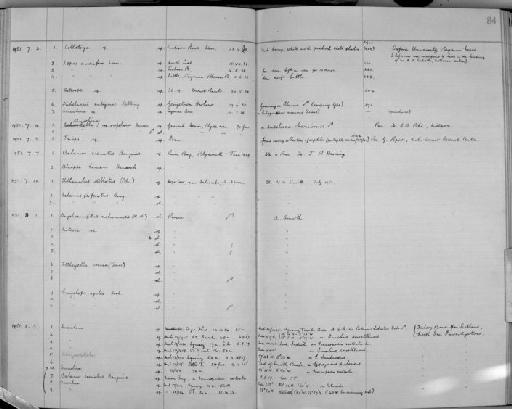 Nitocra Boeck, 1865 - Zoology Accessions Register: Crustacea (Entomostraca): 1938 - 1963: page 84