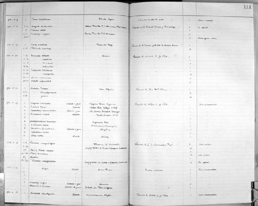 Columbella (Seminella) selasphora Melvill & Standen, 1901 - Zoology Accessions Register: Mollusca: 1925 - 1937: page 111