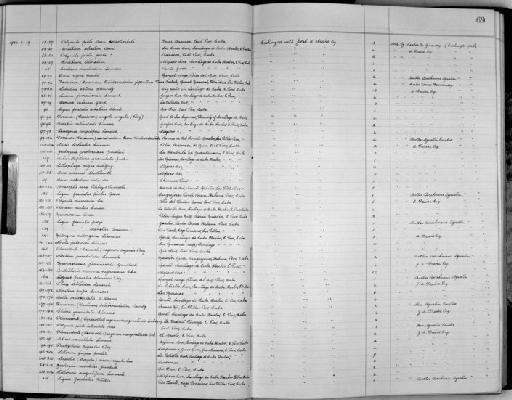 Lithophaga nigra (d'Orbigny, 1853) - Zoology Accessions Register: Mollusca: 1938 - 1955: page 69