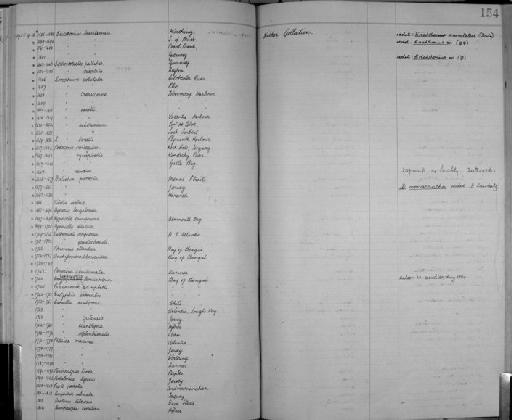 Caprella acanthifera parvorder Caprellidira Leach, 1814 - Zoology Accessions Register: Crustacea: 1905 - 1935: page 154