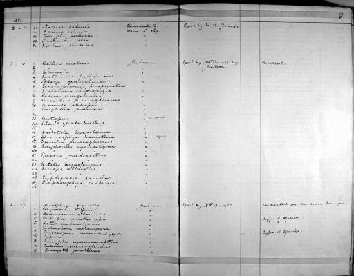 Cossypha periculosa Sharpe, 1883 - Zoology Accessions Register: Aves (Skins): 1874 -1880: page 9