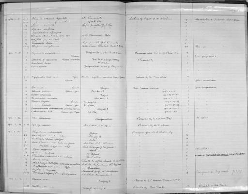 Unio (Doplodon) mogymirim (see register image) - Zoology Accessions Register: Mollusca: 1911 - 1924: page 257