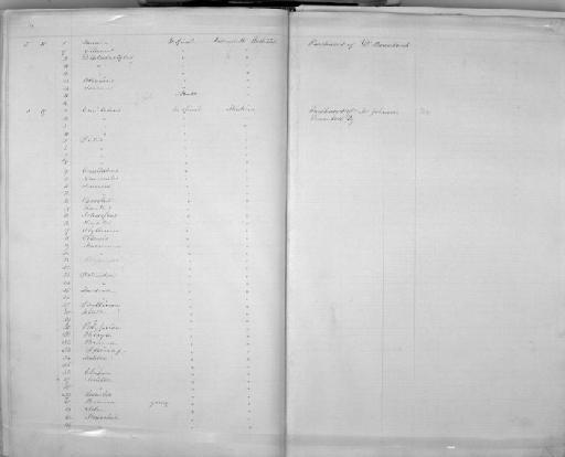 Ophichthys calamus Günther, 1870 - Zoology Accessions Register: Mammals: 1854 - 1861: page 368