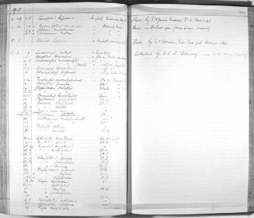 Glyphisodon saxatilis - Zoology Accessions Register: Fishes: 1912 - 1936: page 322