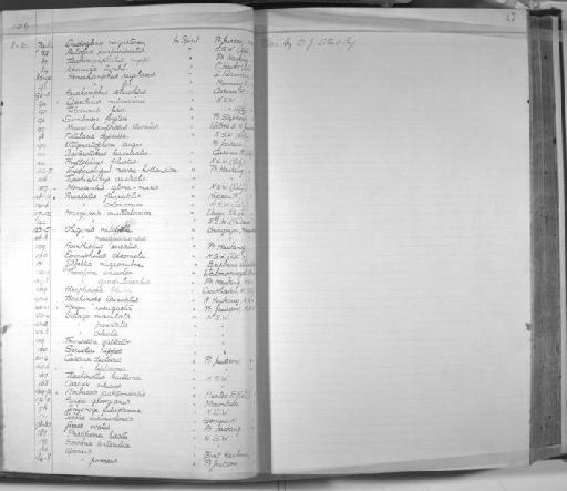 Caranx leptosoma - Zoology Accessions Register: Fishes: 1912 - 1936: page 47