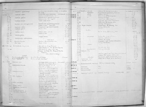 Heteroconger longissimus Günther, 1870 - Zoology Accessions Register: Fishes: 1971 - 1985: page 291