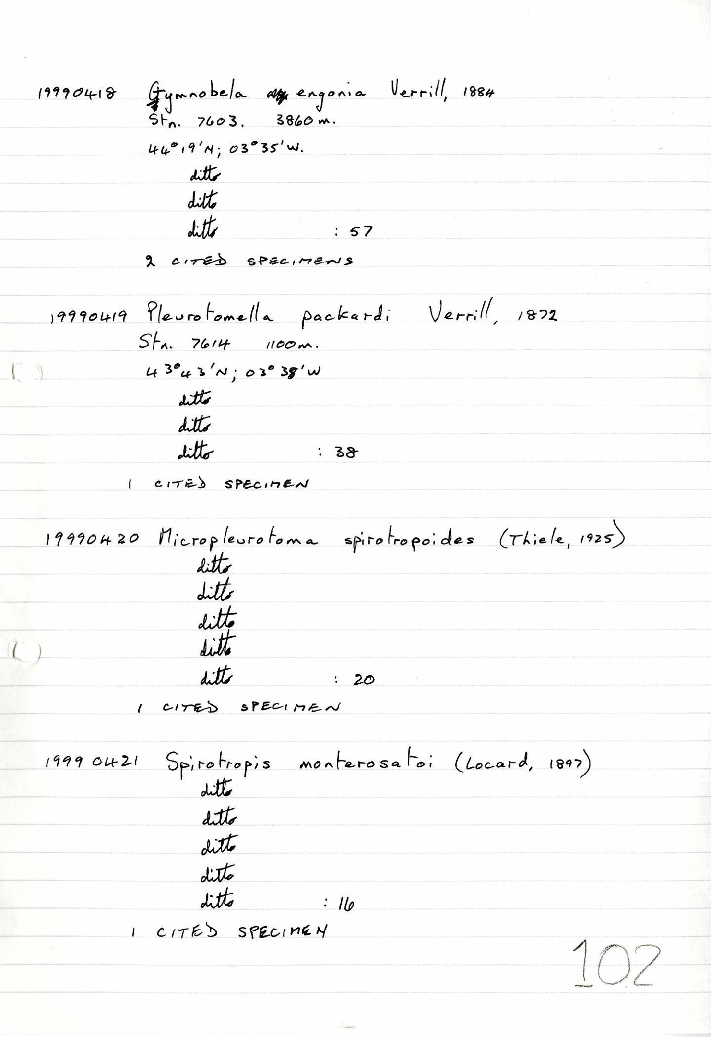 Micropleurotoma spirotropoides thumbnail