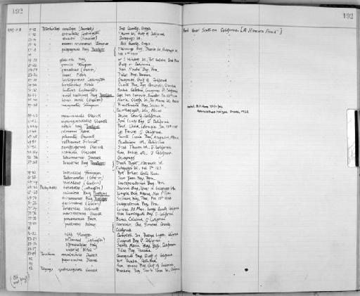 Petrolisthes nobili Haig - Zoology Accessions Register: Crustacea: 1935 - 1962: page 192